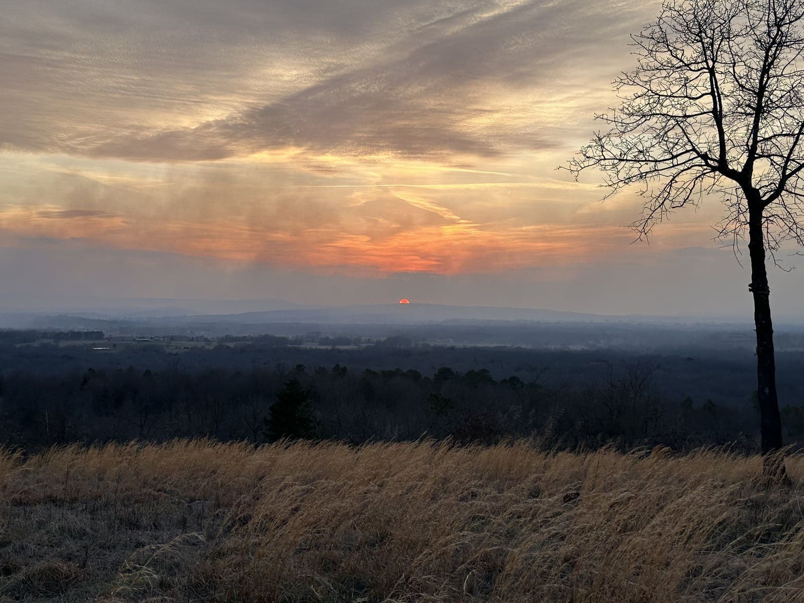 Sunset from the hilltop, with a bare tree at the right