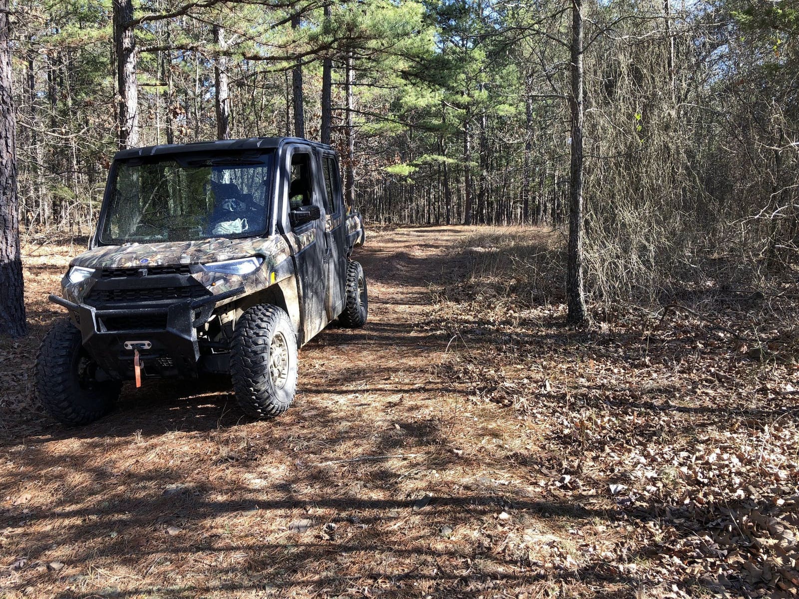 Enjoying nature on an open Forest Service road across Blue Mountain