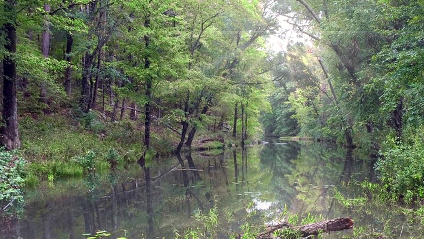 A deep, quiet creek lined with green summer trees near Panorama Ranch